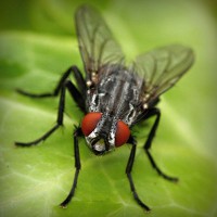 /album/kamerada-ucretli-show/photolia-a01-jpg/