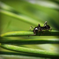 /album/kamerada-ucretli-show/photolia-a05-jpg/