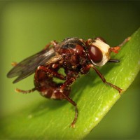 /album/kamerada-ucretli-show/photolia-a06-jpg/