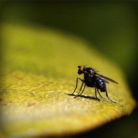 /album/kamerada-ucretli-show/photolia-a07-jpg/